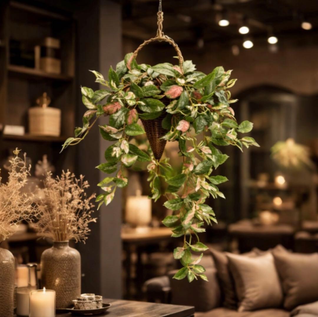 光触媒　人工観葉植物　ウォールグリーン　フェイクグリーン　壁掛け　ツートンホヤ