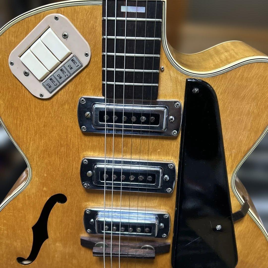 a*i様 TEISCOセミホロウボディ 3ピックアップフルアコギター