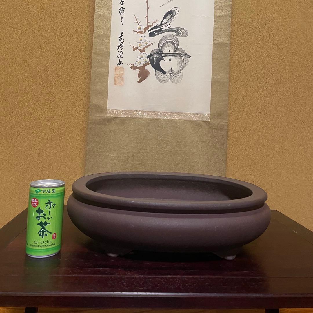 【落款あり】松泉焼 山秋造 楕円袋式雲足 紫泥 盆栽鉢 真柏 時代鉢