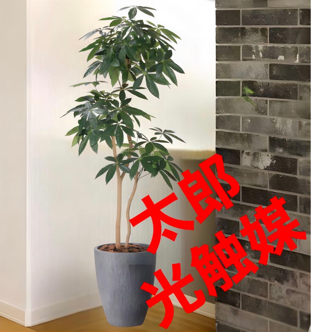 光触媒　人工観葉植物　フェイクグリーン　ナチュラルパキラ 1.8m