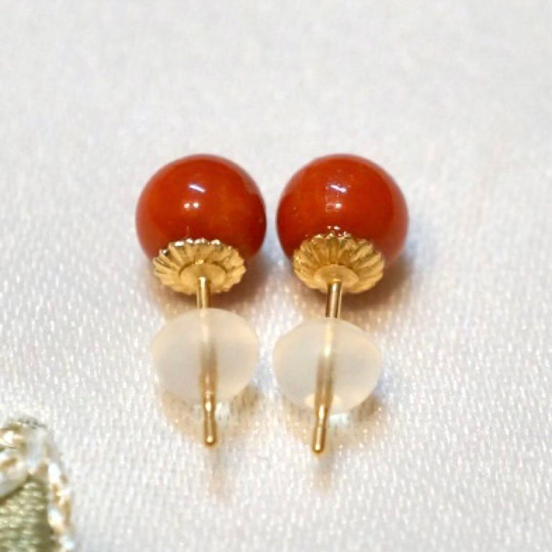 【専用】血赤珊瑚 赤サンゴ 天然石 ピアス ペンダントトップ セット レッド