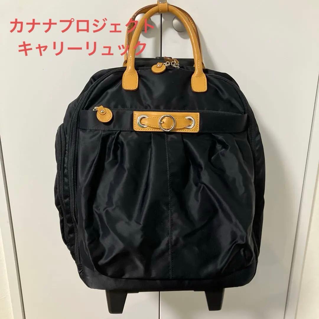 にゃんコロリンさん専用『カナナプロジェクト』キャリーバッグ　リュック　値下げ