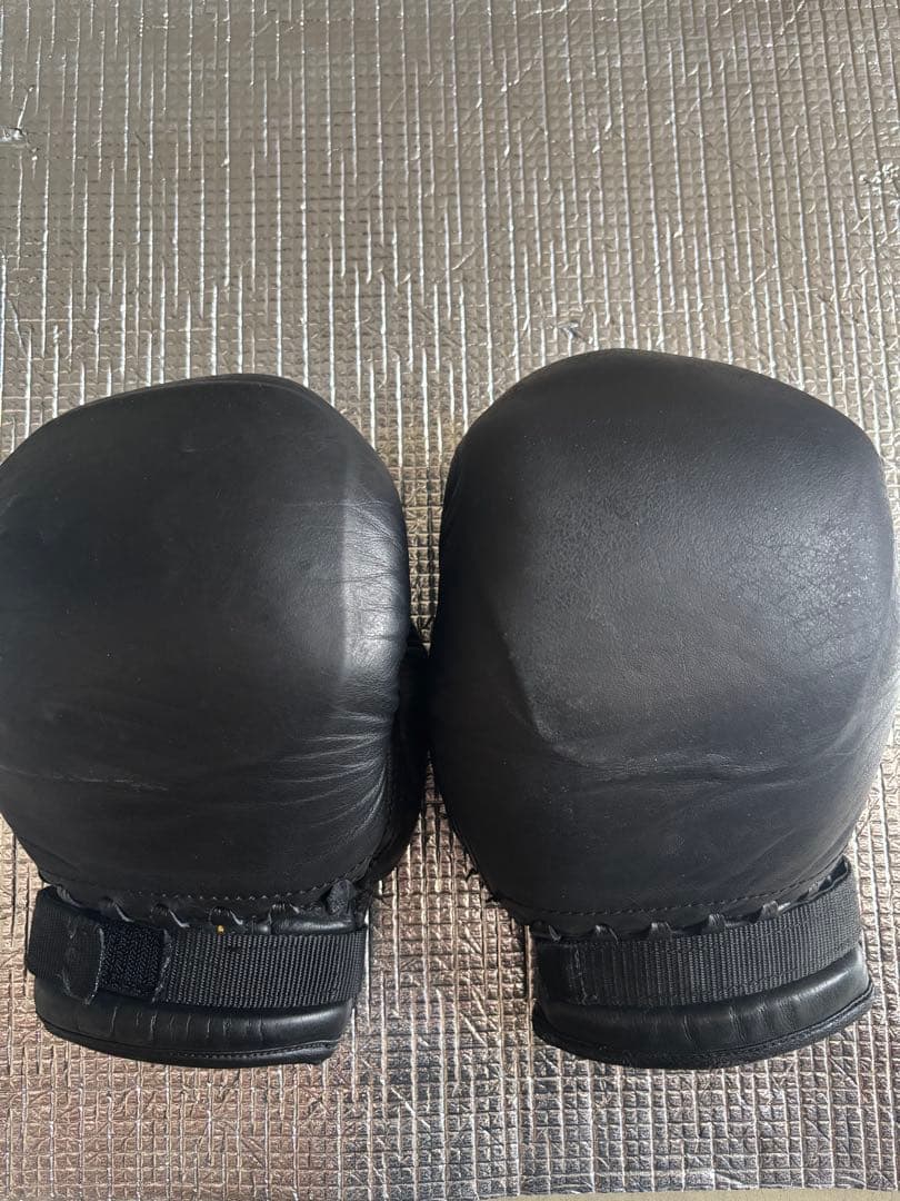 日本拳法　徳大グローブ