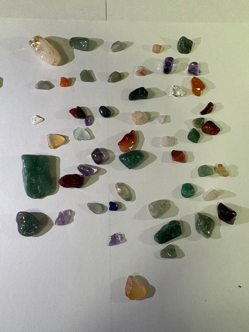 化石詰め合わせセット