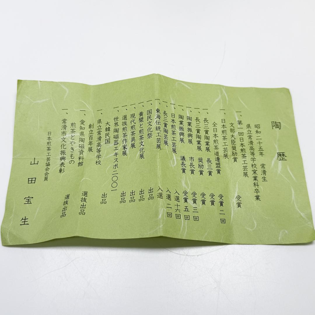 美品 常滑焼 山田宝生 急須 イチョウ紅葉菊彫 横手急須