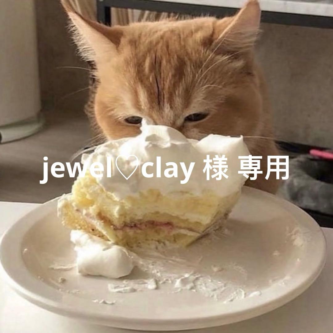 jewel♡clay 