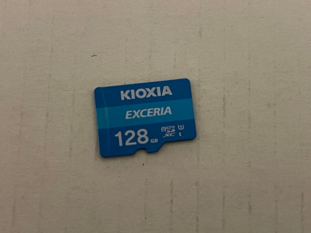Nintendo Switch あつ森Ver. ケース&SDカード付き