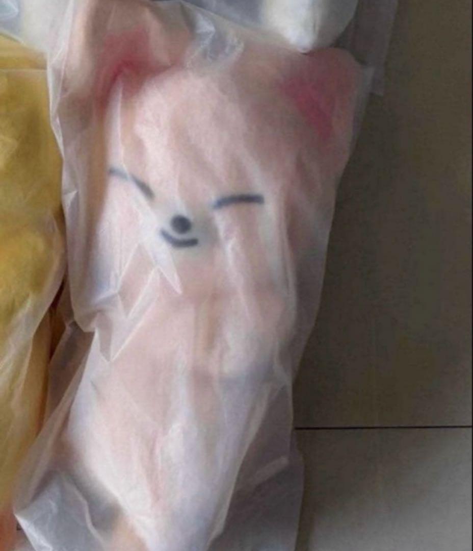 ぬいぐるみ straykids SKZOO PLUSH BAG FoxI.Ny