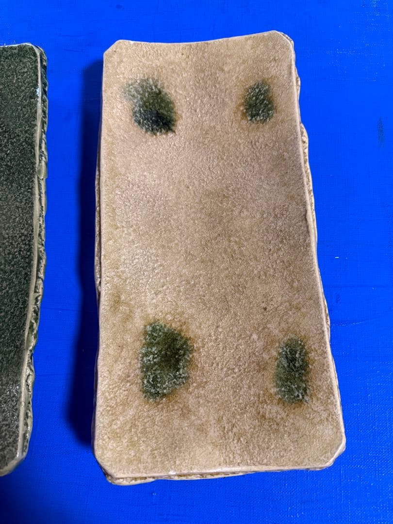 大洞陶房　有光武元 長方形皿２枚