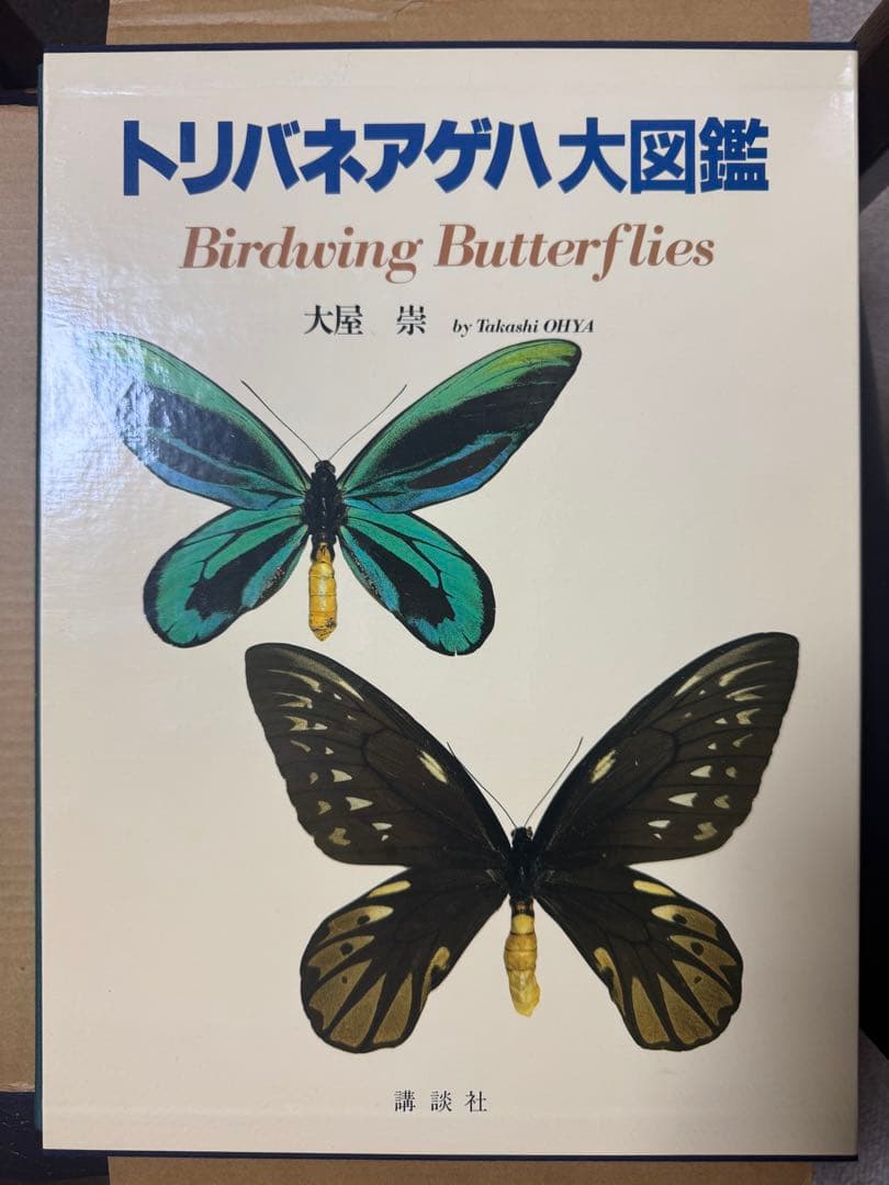 トリバネアゲハ大図鑑