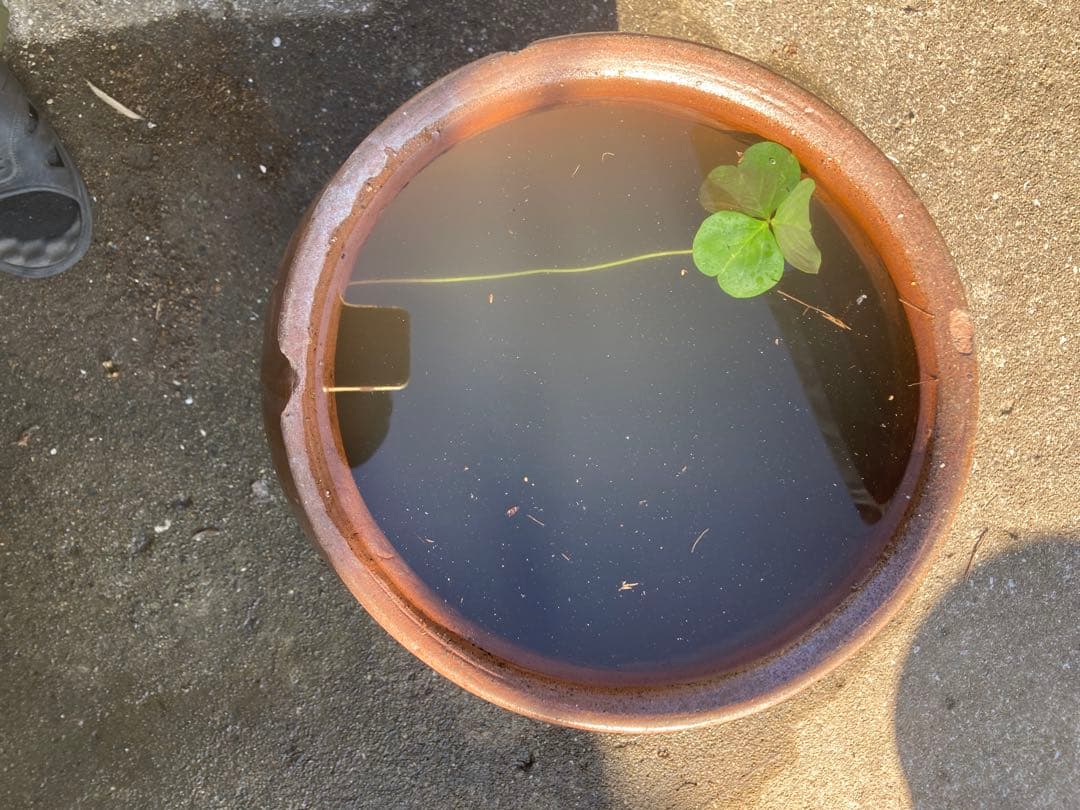 味わい深い 古い 大きな 陶器の甕 (かめ) 壺植木鉢 メダカ鉢 和風51センチ