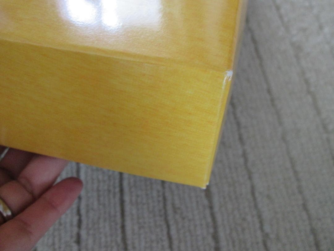 新品未使用　FENDI　フェンディ　タオルセット