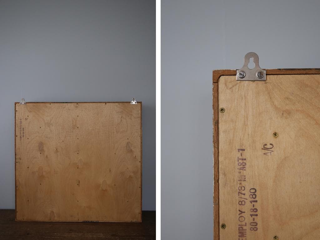 英国アンティーク木製ディスプレイショーケース/壁掛けコレクションボックス69-2