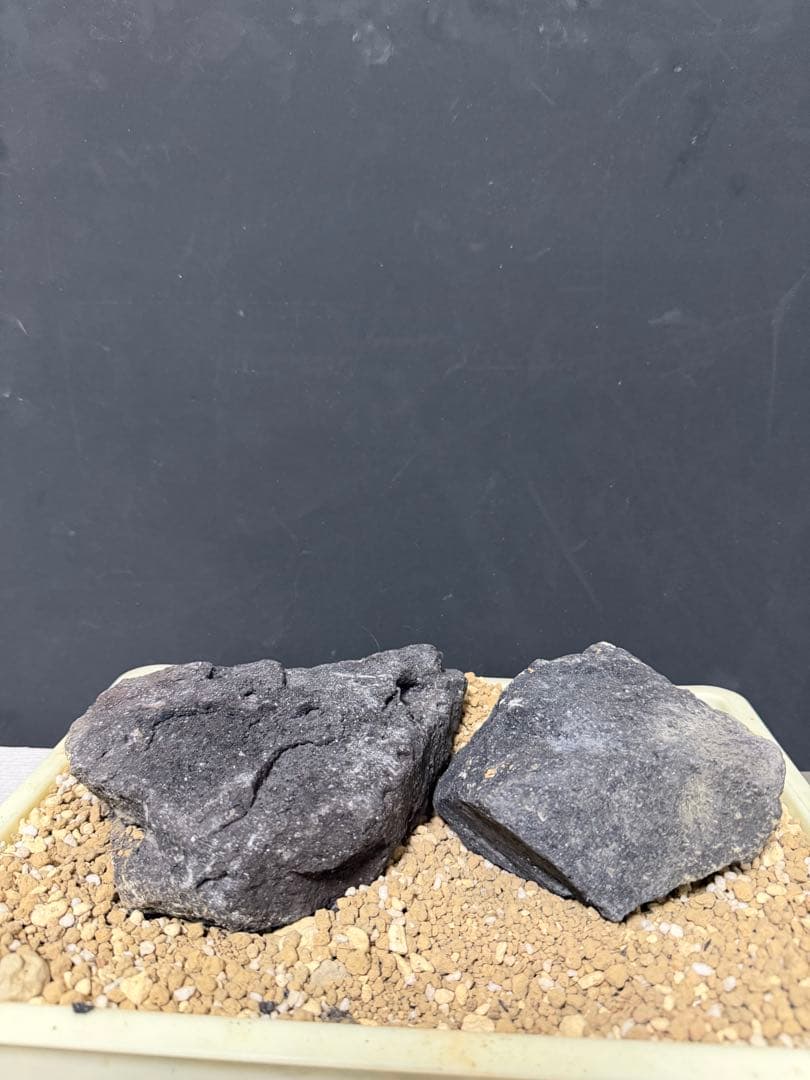 ⑧ADA山水石 組合せ！オススメ！