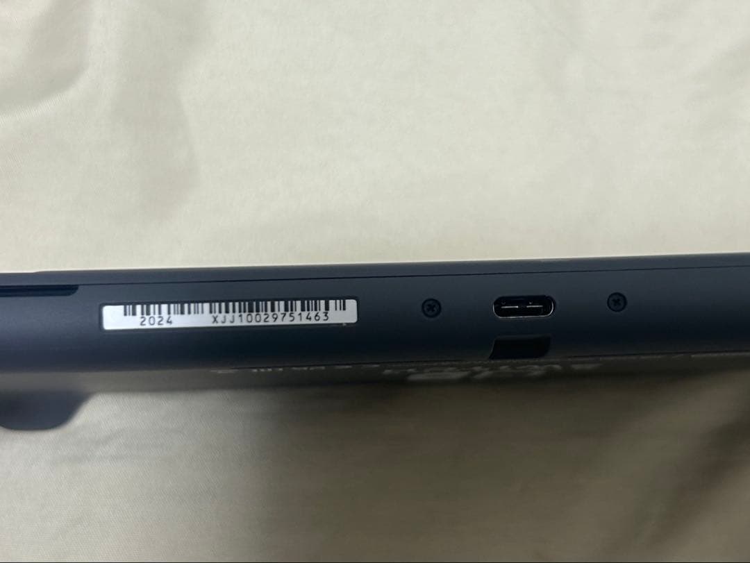 Nintendo Switch Lite グレー 本体 充電器、箱付き