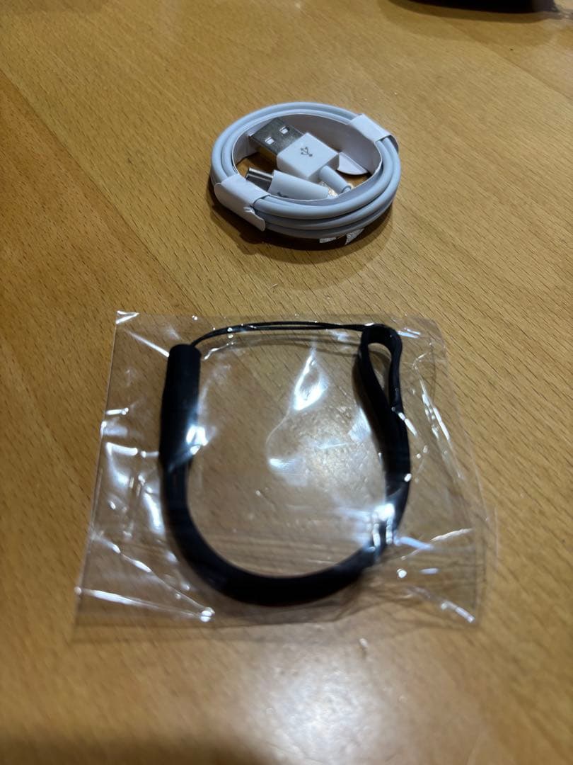 Vasco Translator M3 音声翻訳機 翻訳機