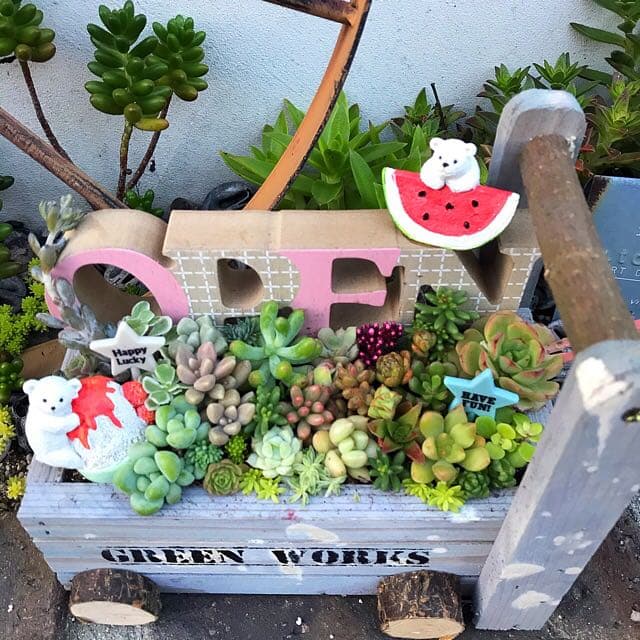 ★多肉植物　寄せ植え〜手作り木製カート寄せ〜★