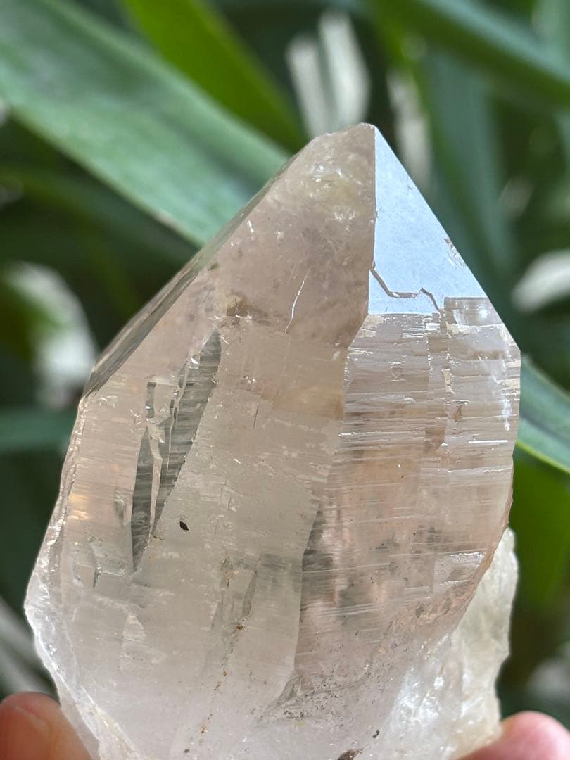 パキスタン　ハシュピ産　ヒマラヤクォーツポイント　ヒマラヤ水晶268g