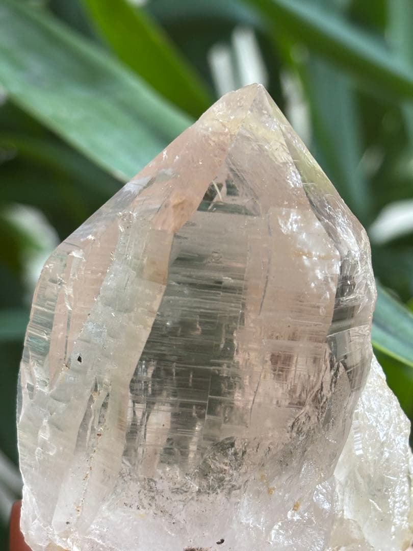 パキスタン　ハシュピ産　ヒマラヤクォーツポイント　ヒマラヤ水晶268g