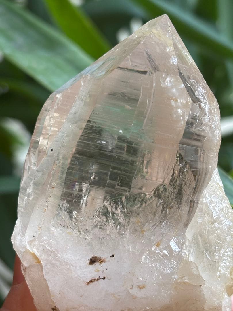 パキスタン　ハシュピ産　ヒマラヤクォーツポイント　ヒマラヤ水晶268g