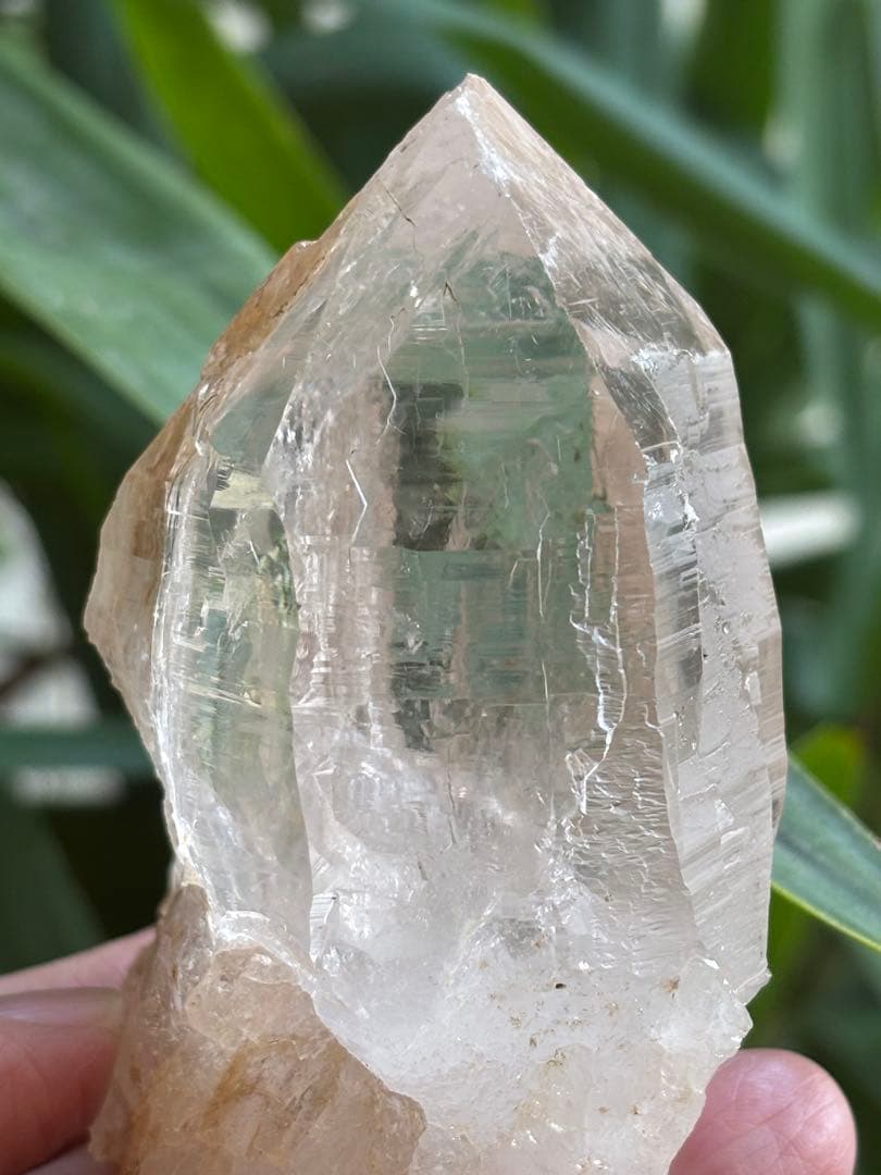 パキスタン　ハシュピ産　ヒマラヤクォーツポイント　ヒマラヤ水晶268g