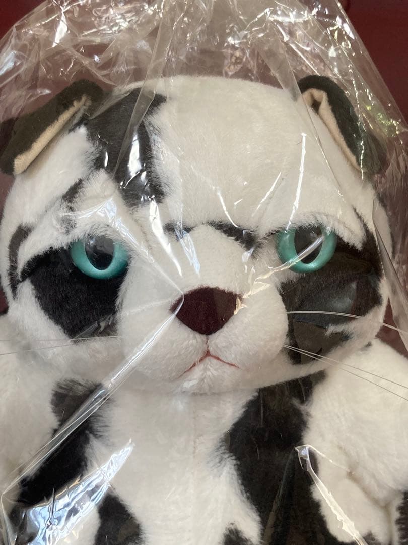 cuddlyカドリー 猫 ぬいぐるみ【バジル】