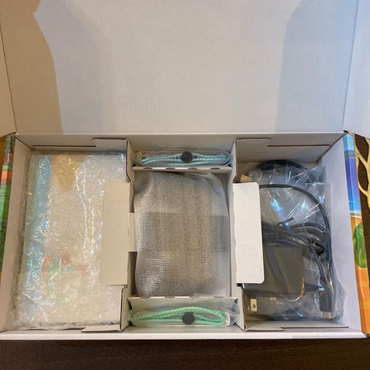 Nintendo Switch あつまれどうぶつの森セット