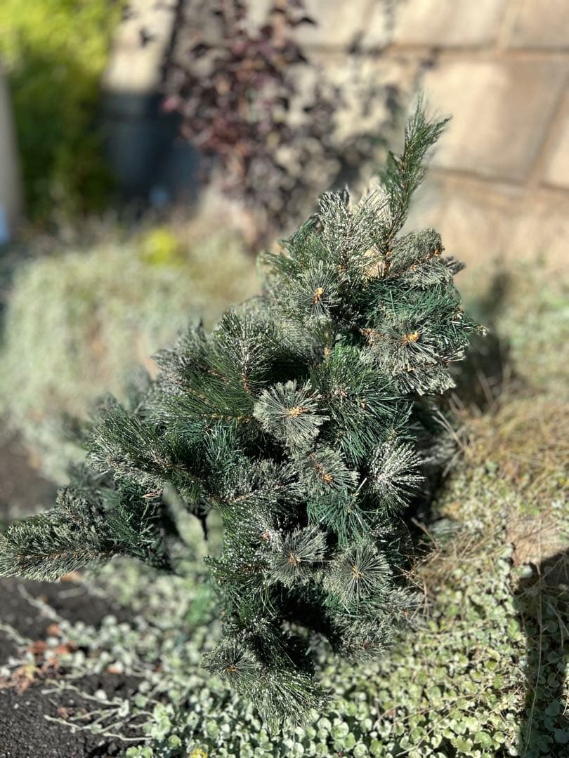 クリスマスツリー 大型　180cm+