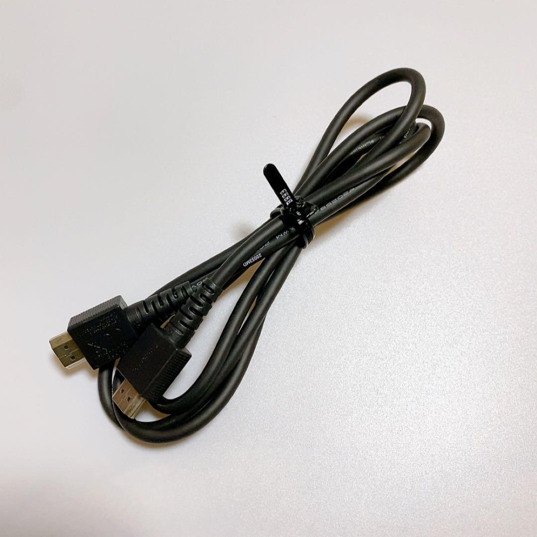 Nintendo Switch 本体 あつまれどうぶつの森