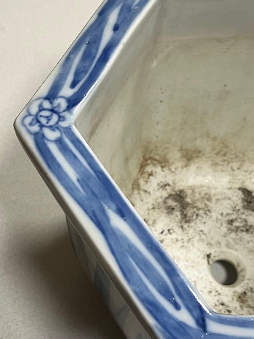 蘭鉢　盆栽鉢　植木鉢　陶芸　園芸　盆栽