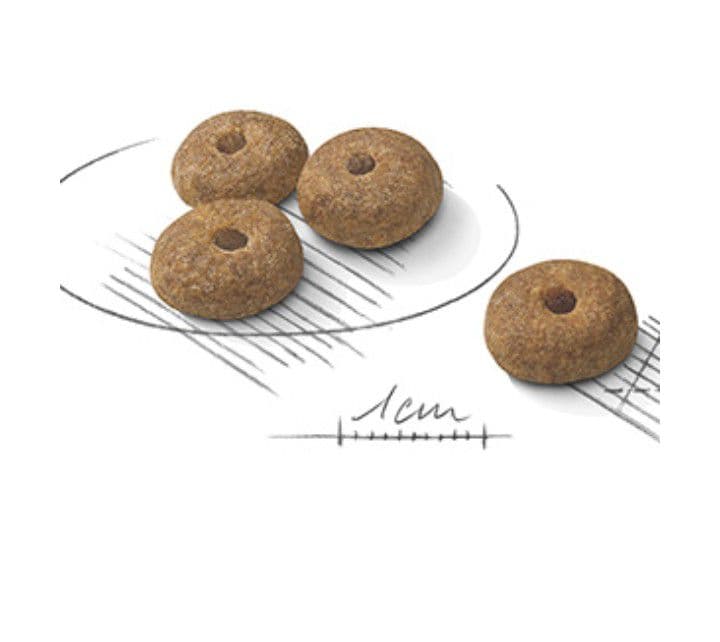  CANIN ミニステアライズド 8kg×2袋