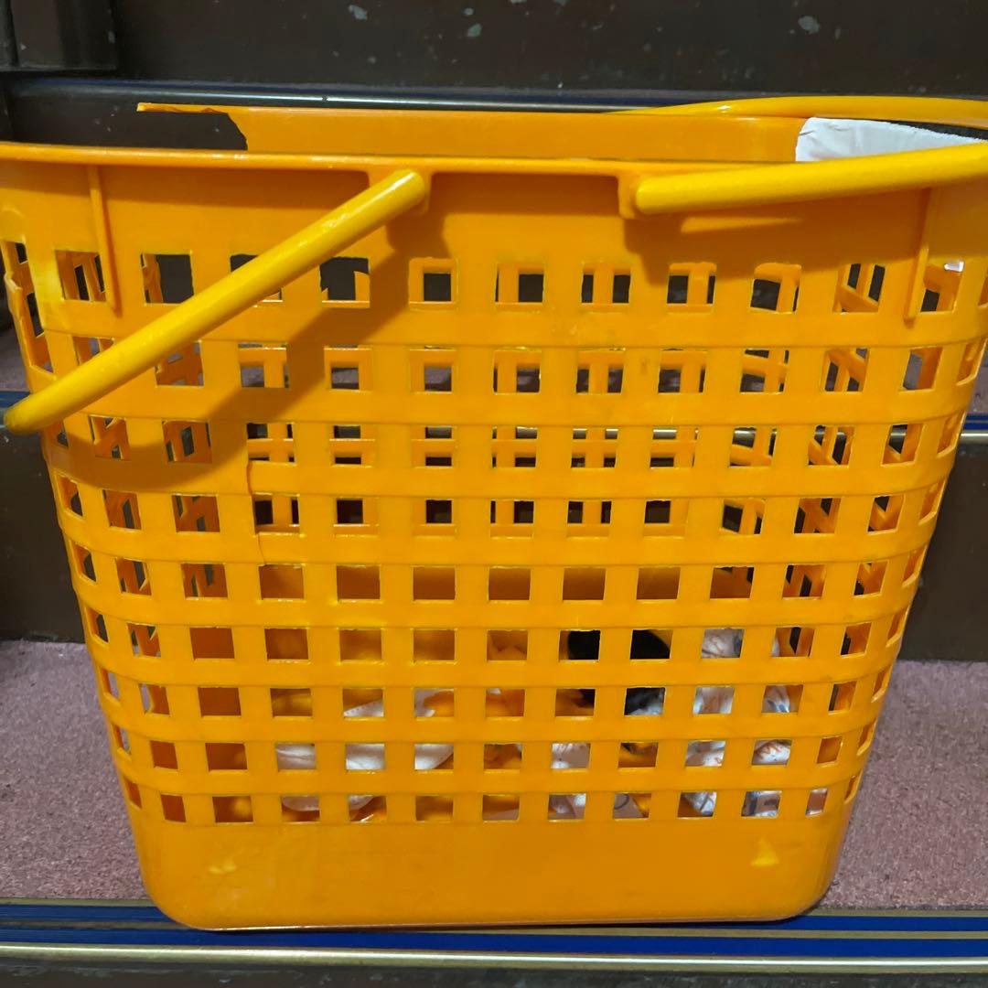 全学チャンピオンが使ってた洗濯カゴ
