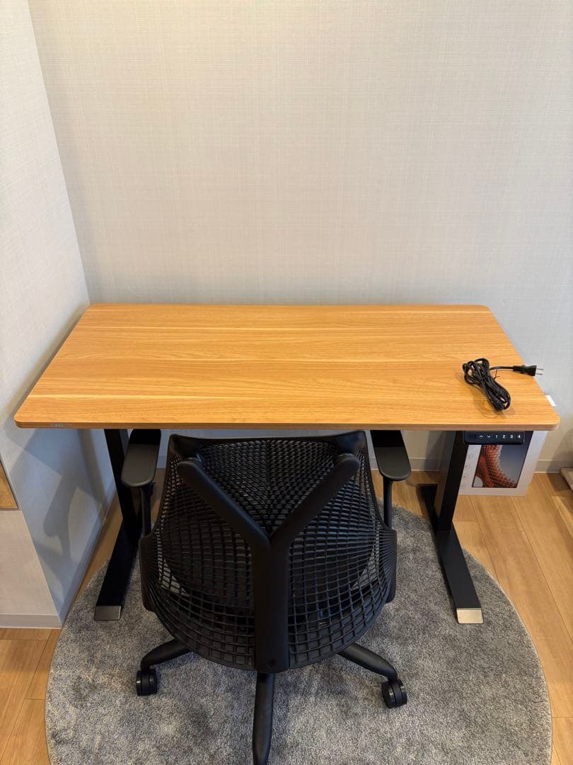 FLEXISPOT 電動式昇降デスク E9