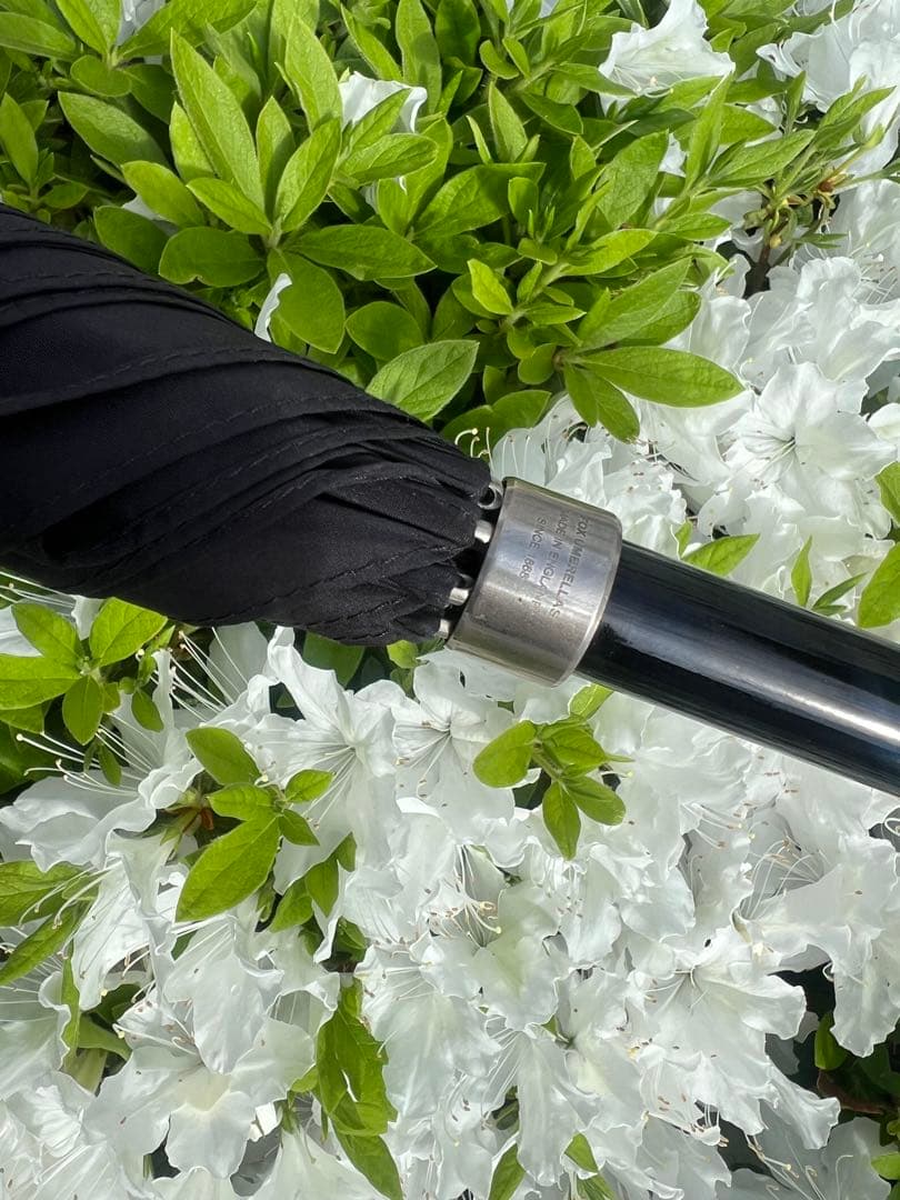 【FOX UMBRELLA】Dog フォックス・長傘・犬