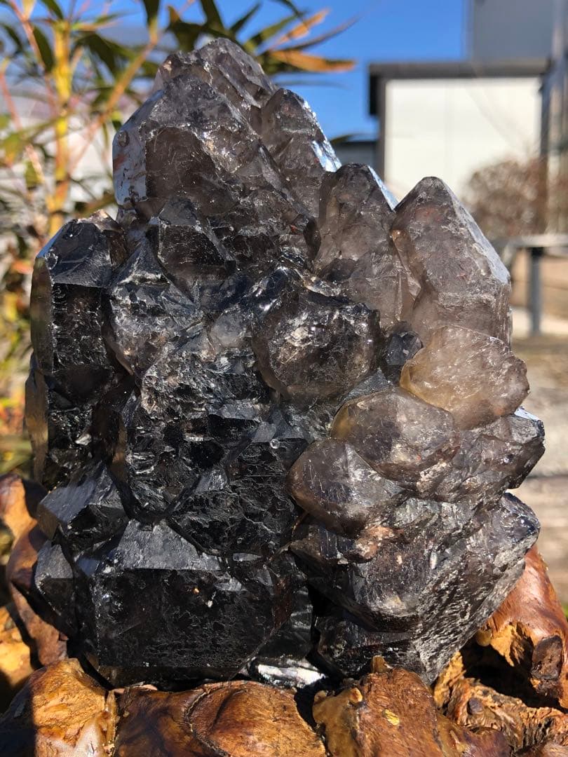 レア　極みの逸品 1.07kg エレスチャル水晶 骸骨 鳄水晶