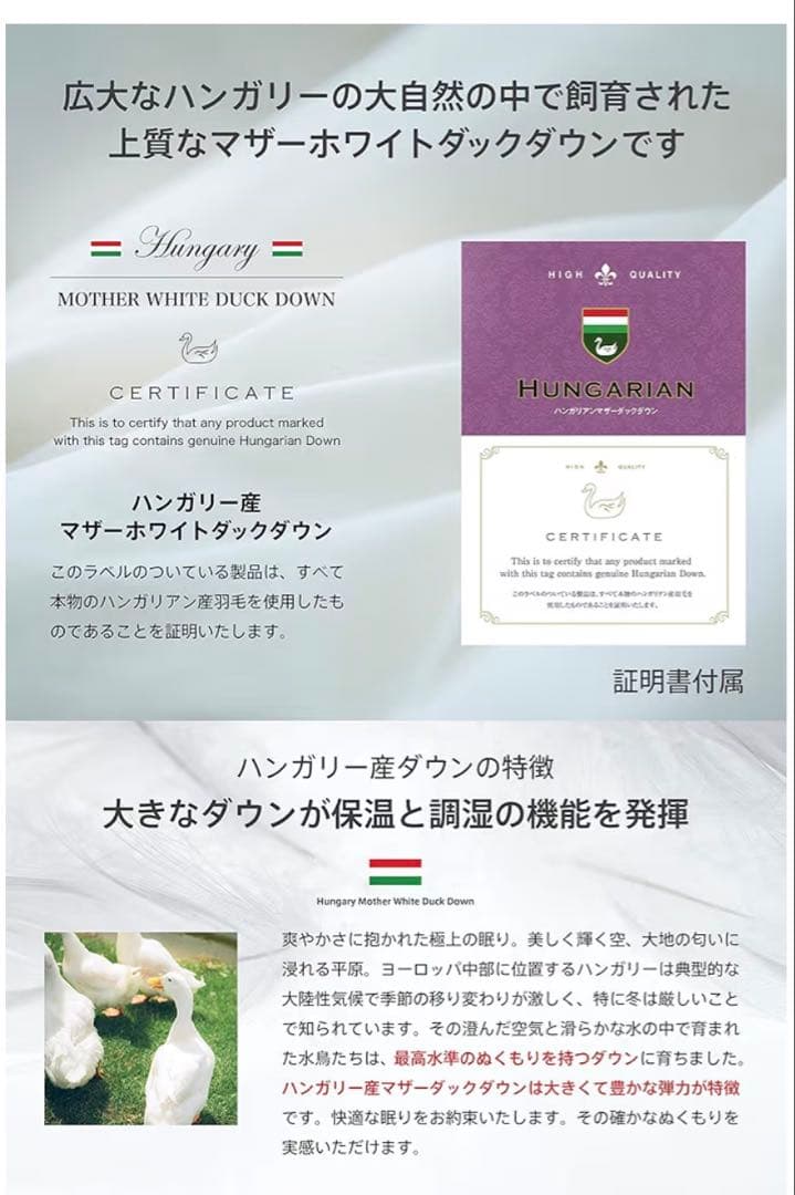 羽毛布団 セミダブル ハンガリー産 ホワイト マザーダックダウン95% 二層立体
