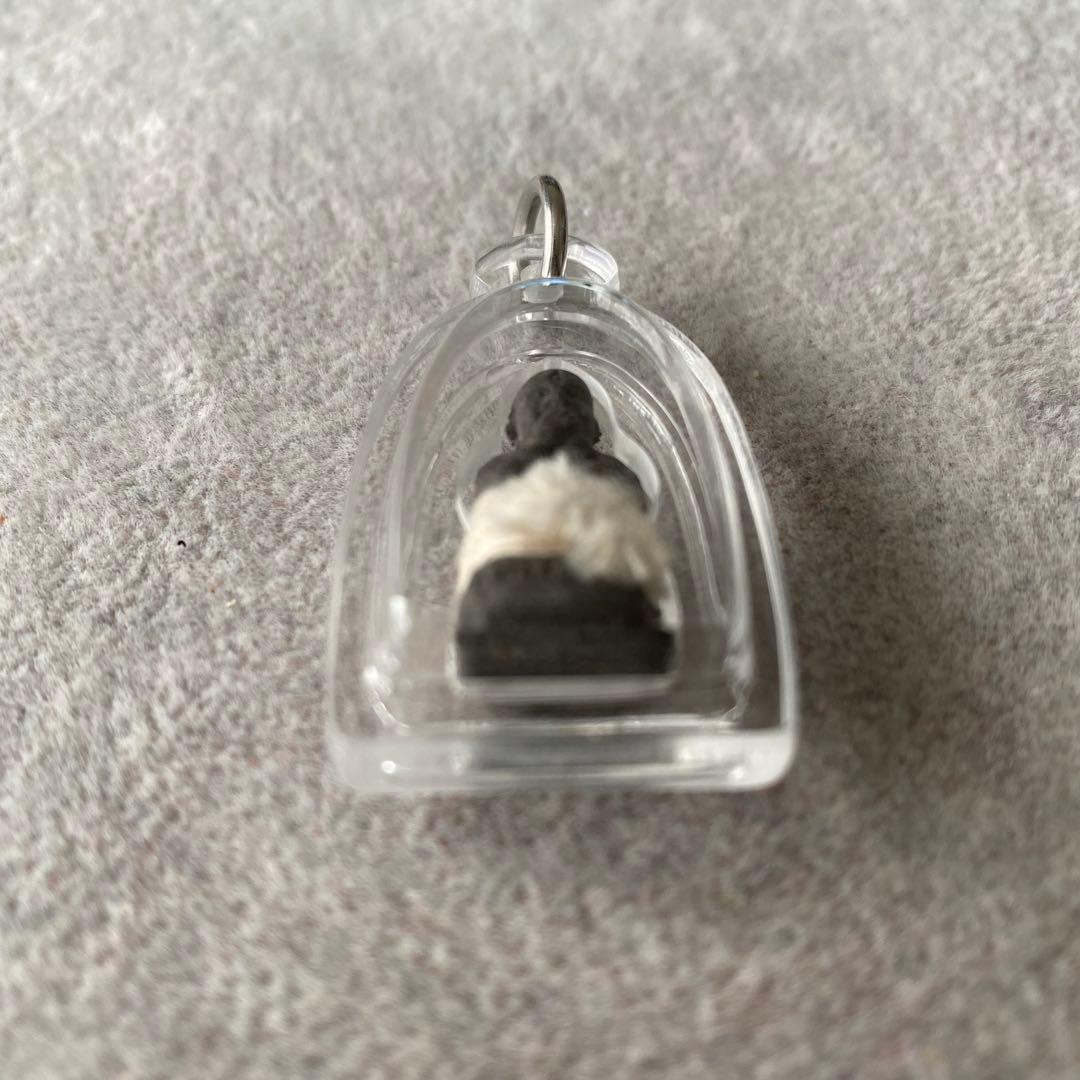 プラクルアン 黄金の子 クマントン LPホン師 レア品 金運 守護 御守り