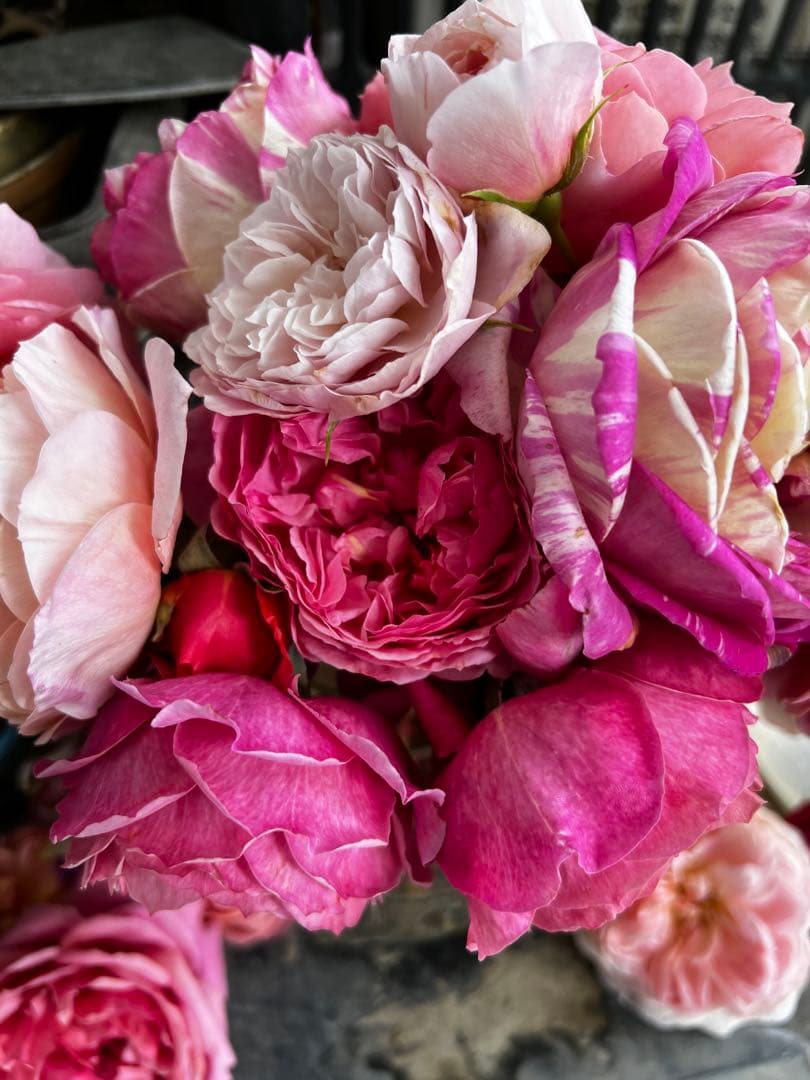 ディプティック　カルーセル ミルク様❣️