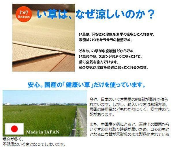 添島勲商店 国産 い草花ござ ラグ マハラジャ 約190×190cm　茶系