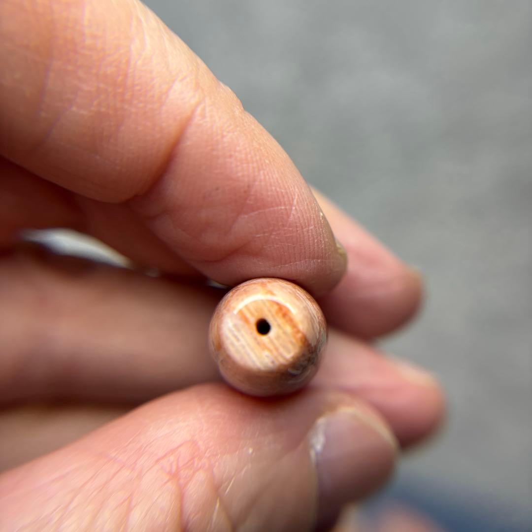 もんちゃんフォッシルコーラル　天珠　1-283