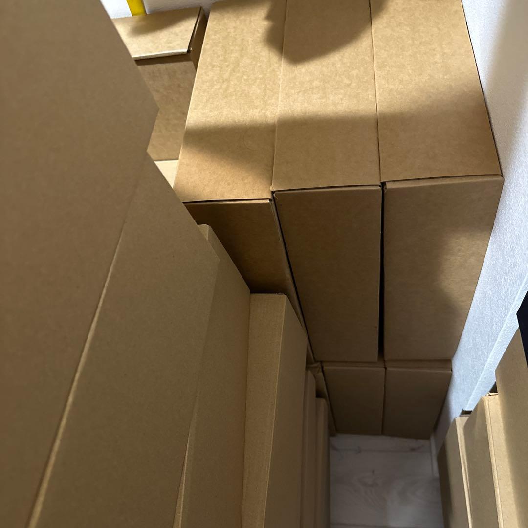 【日本未発売】ナイキ シューズボックス オレンジ 10個