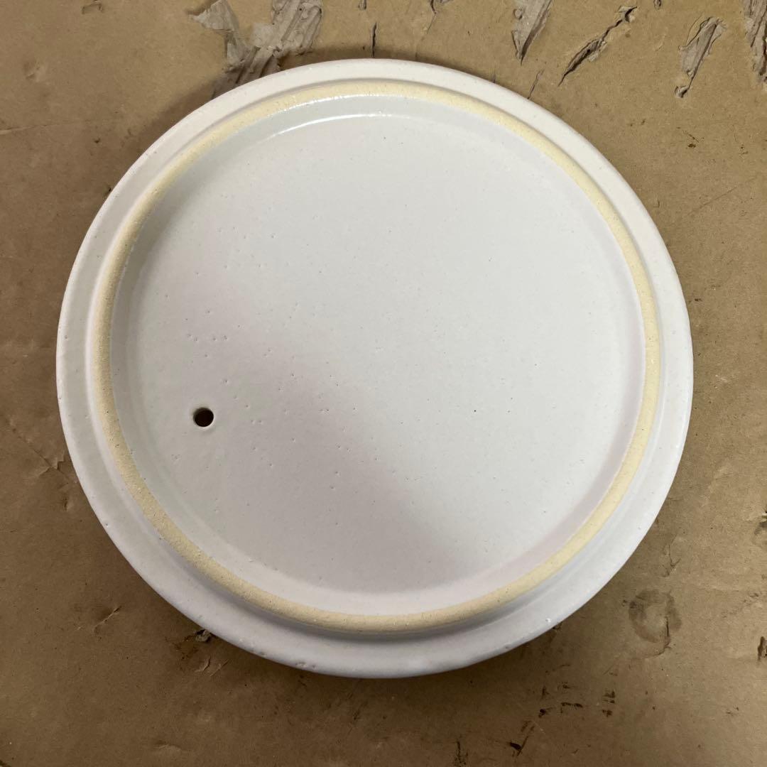 長谷園　ビストロ　土鍋　白