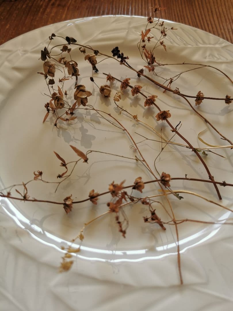 アンティーク/ヴィンテージ 仏リモージュ リーフレリーフ 30㎝ディナープレート