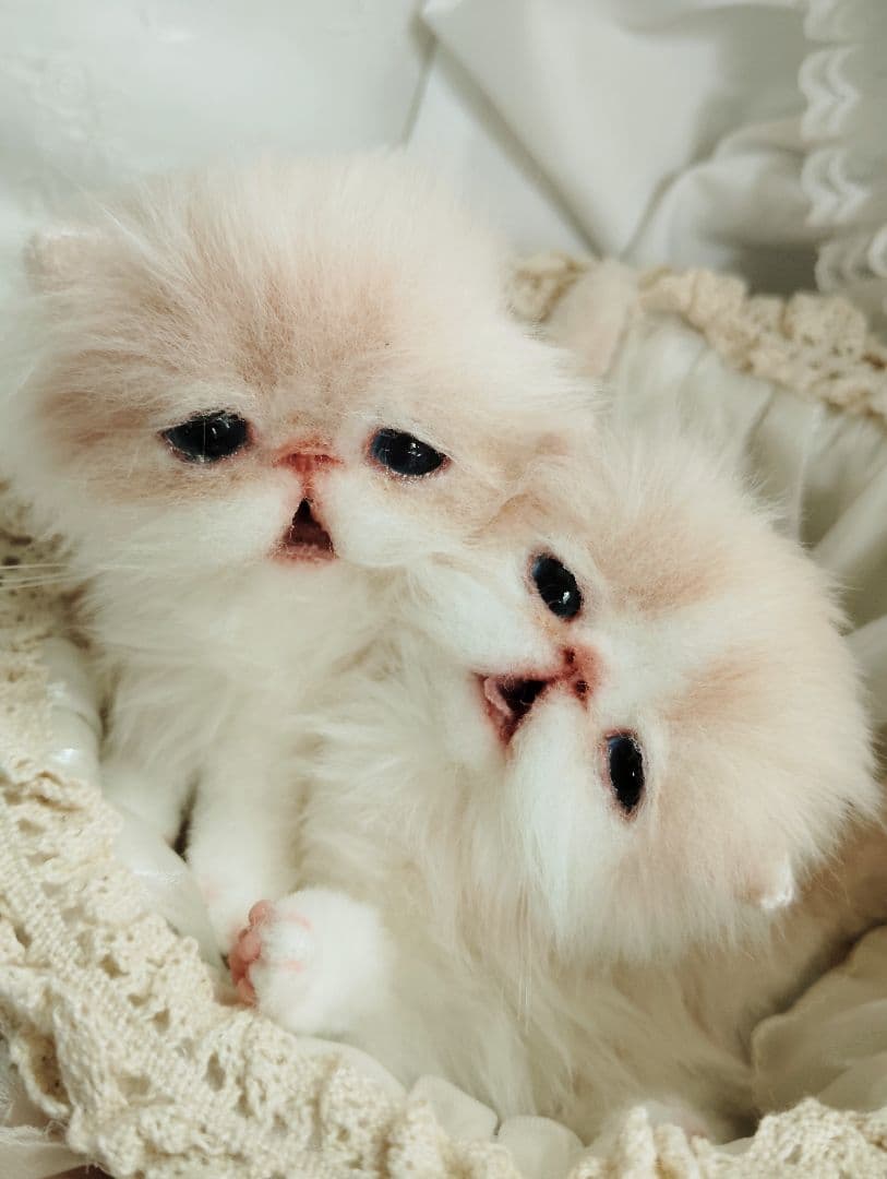 生後２週間♡双子子猫ちゃん♡お世話セット♡アートドール♡ぬいぐるみ♡