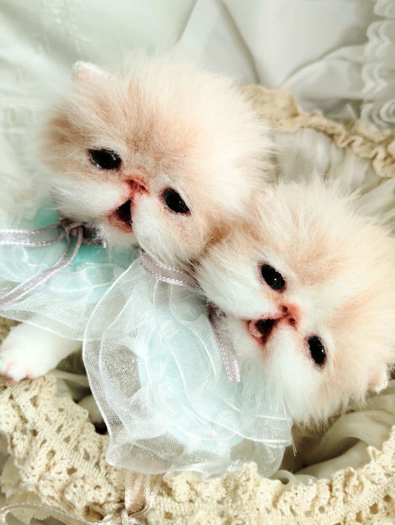 生後２週間♡双子子猫ちゃん♡お世話セット♡アートドール♡ぬいぐるみ♡