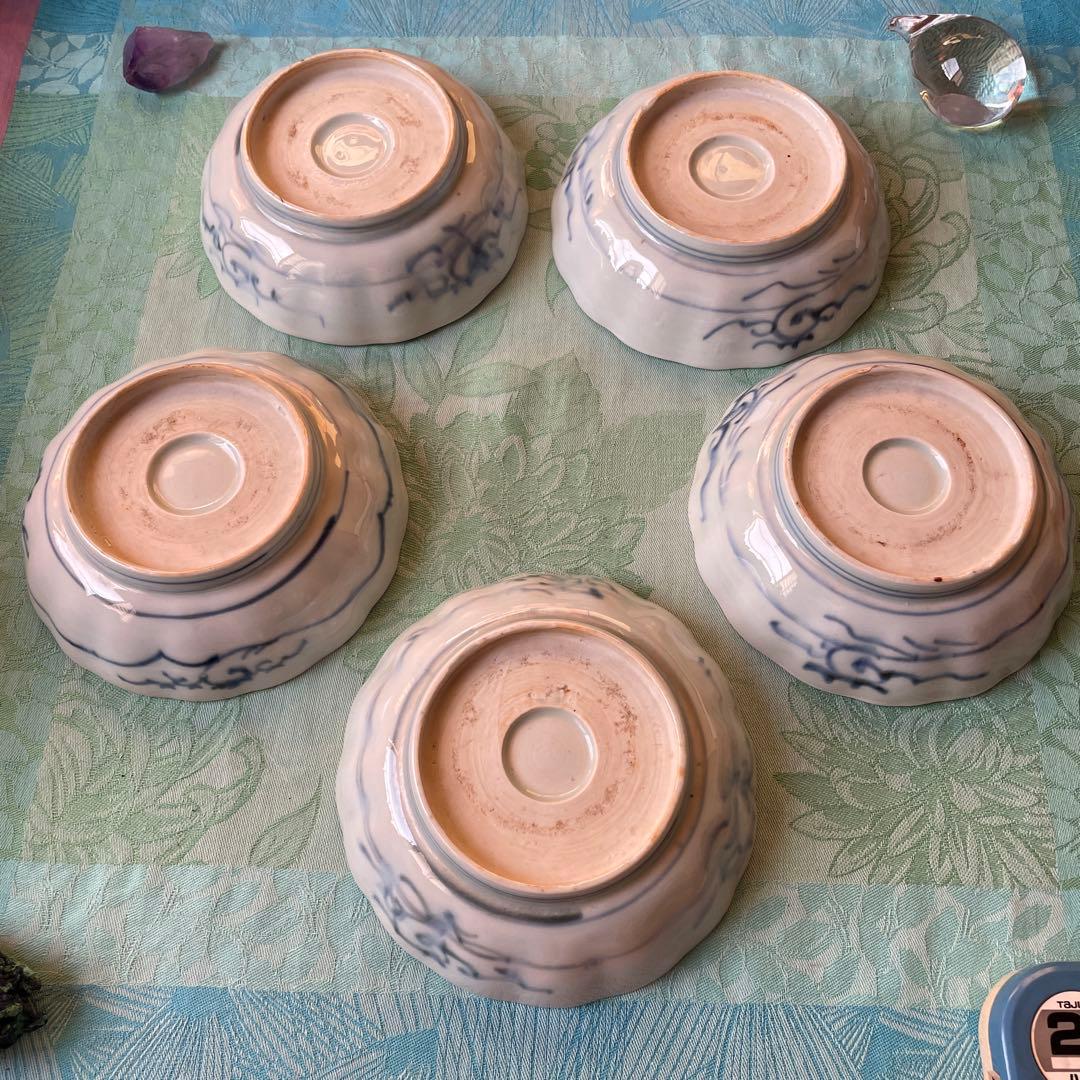 古伊万里　染付　魚　膾皿　5客