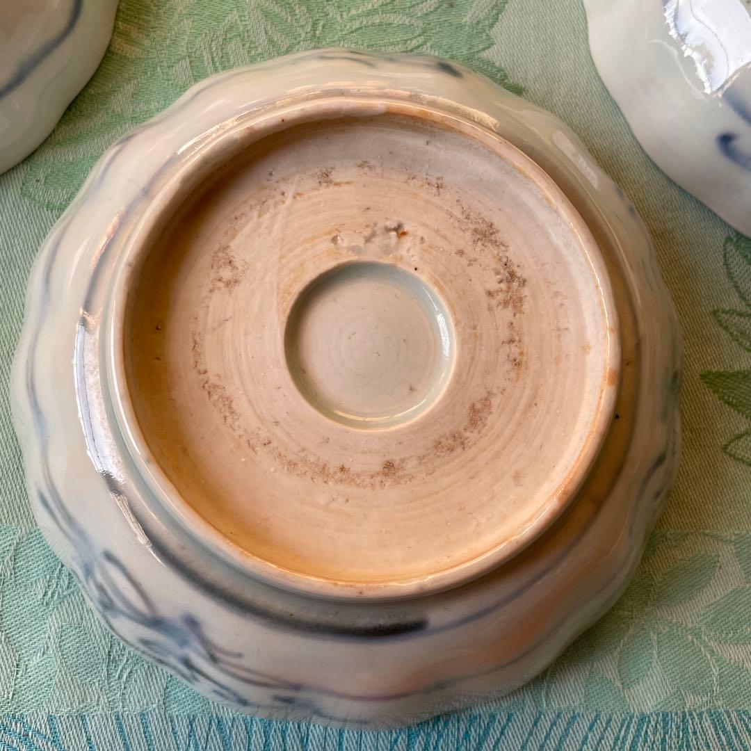 古伊万里　染付　魚　膾皿　5客