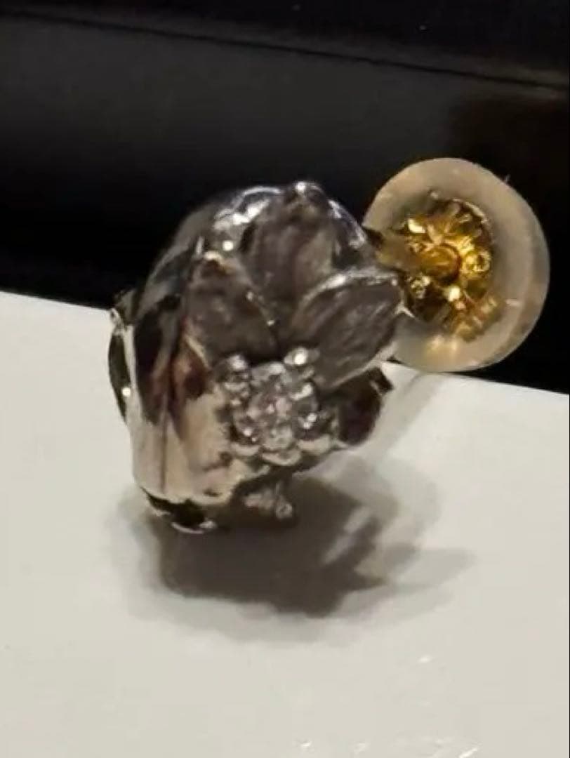 Bloody mary KAI 化け猫ピアス　K18 IG WG