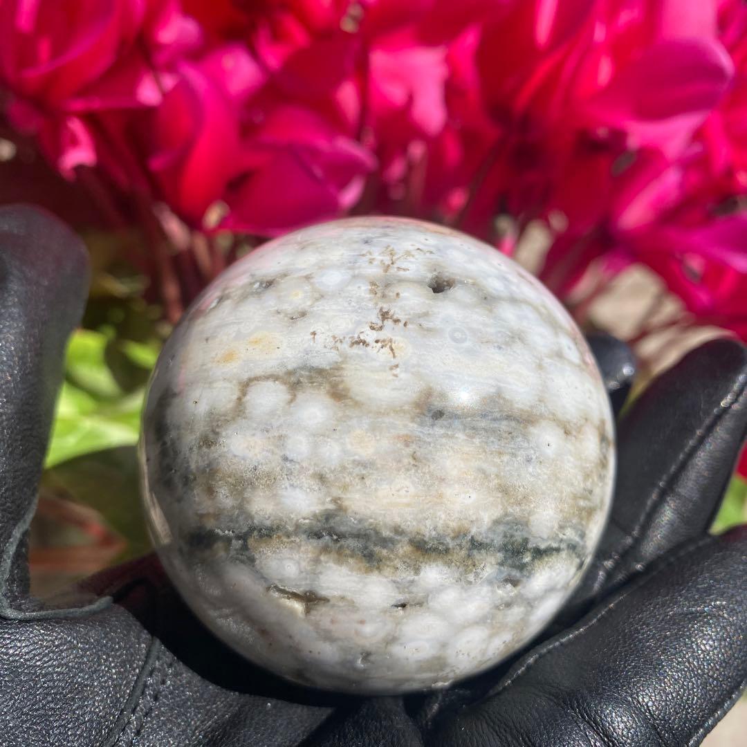 1個限定!! 8thveinジャスパー  エイスベインオーシャンジャスパー