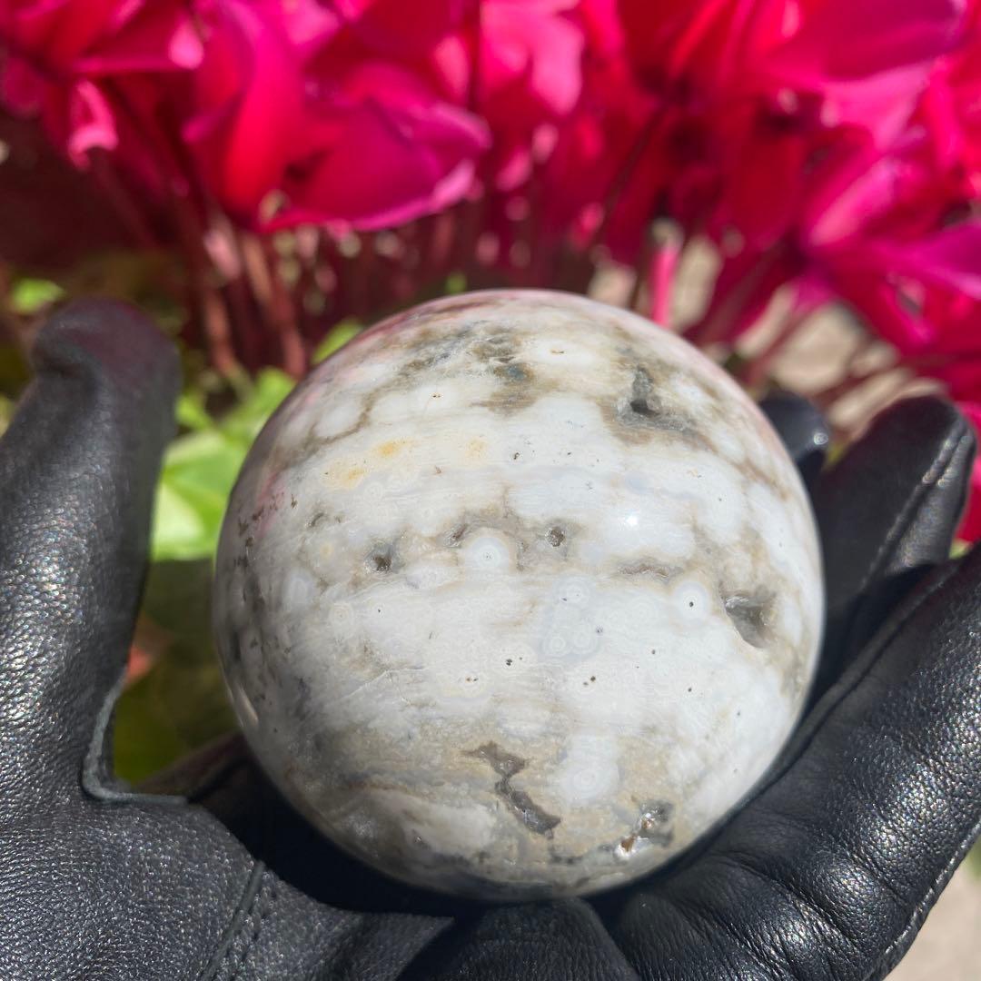 1個限定!! 8thveinジャスパー  エイスベインオーシャンジャスパー